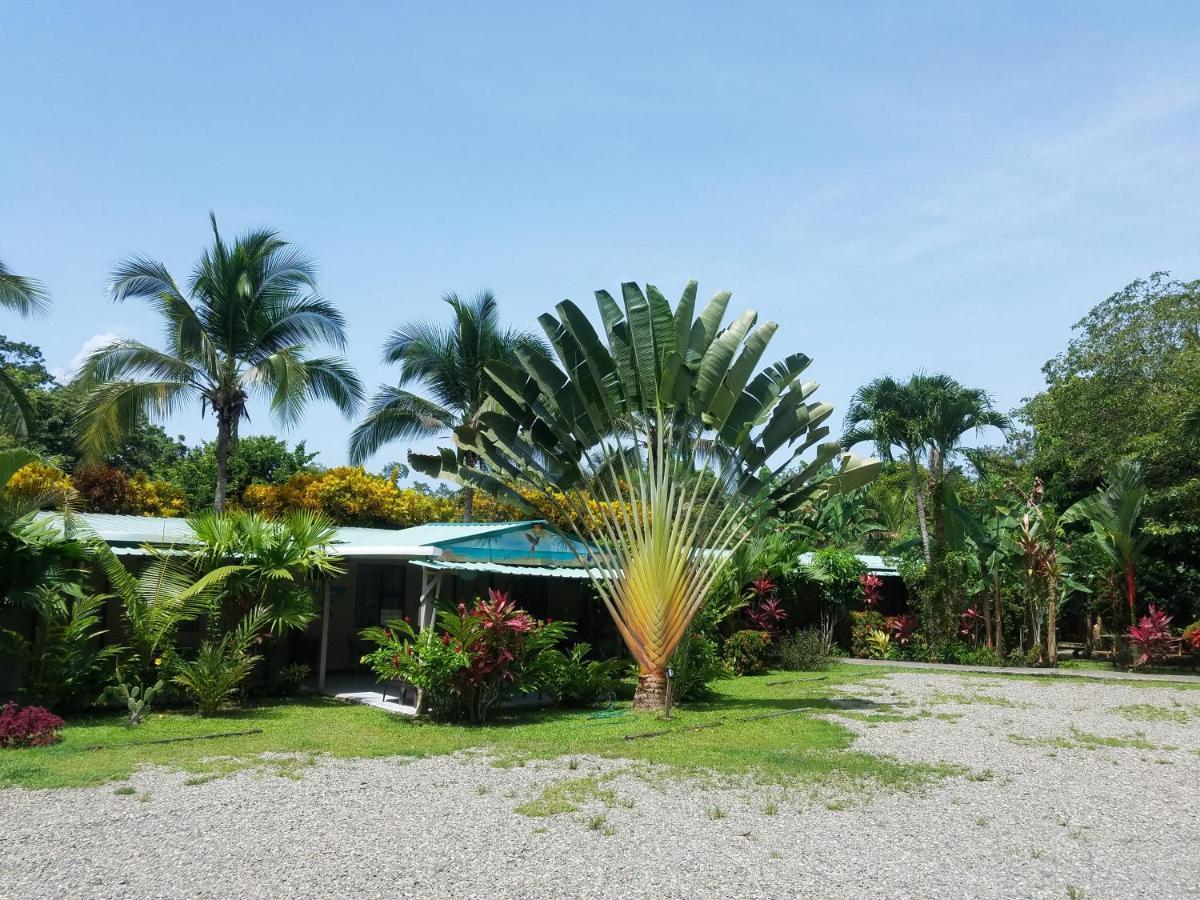 Hotel El Colibri Rojo - Cabinas - Le Colibri Rouge Cahuita Exterior photo